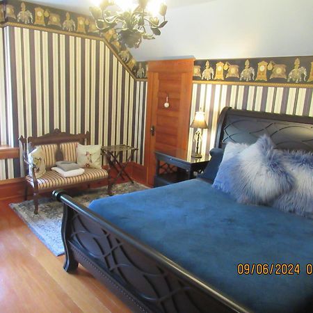 Hummingbird Gardens B&B 레이디스미스 외부 사진
